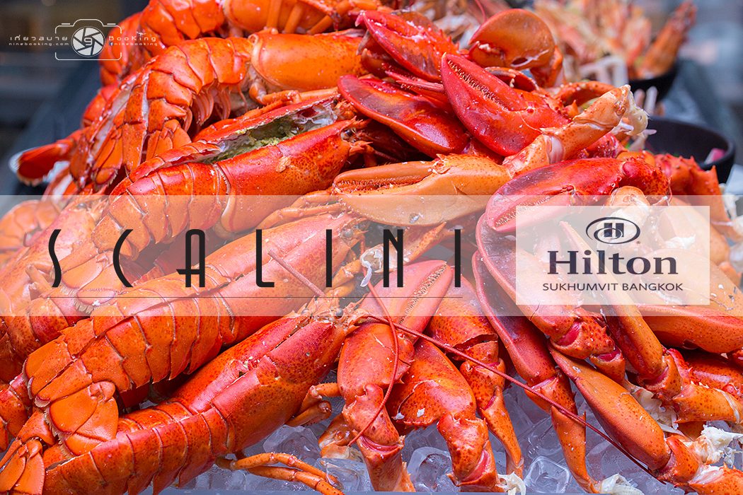 Sunday brunch *** Boston Lobster Buffet *** @Scalini  Hilton Sukhumvit Bangkok