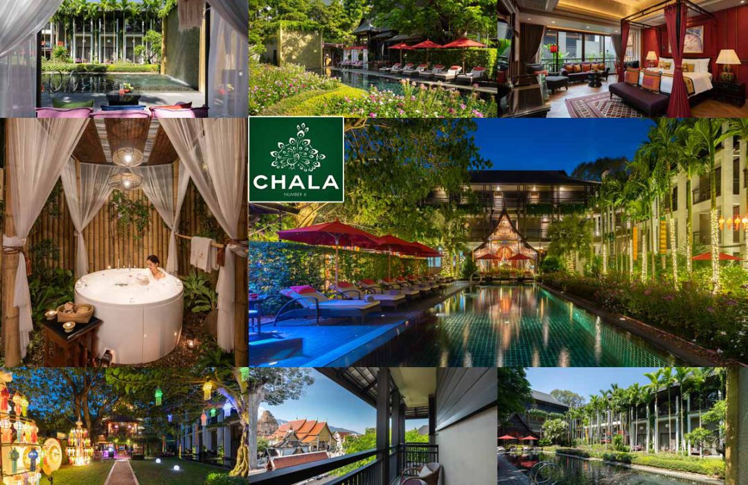 Chala Number 6 Hotel ( เชียงใหม่ )